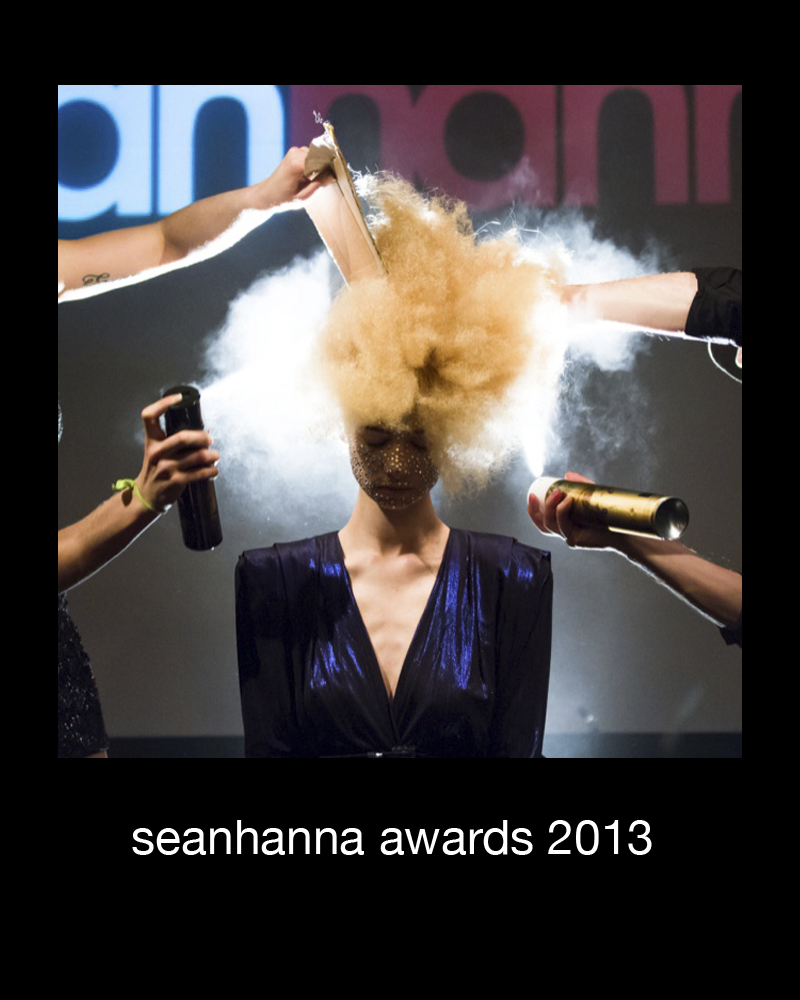 seanhanna awards 2013