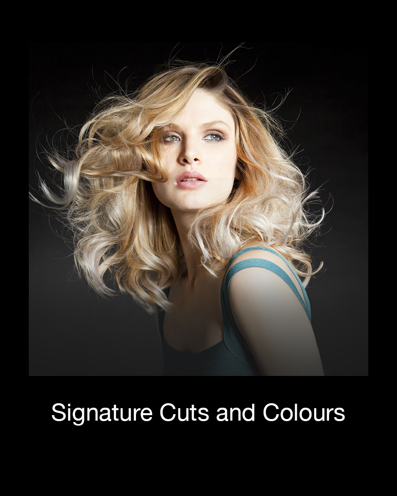 signature cuts and colours